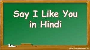 Say I Like You in Hindi