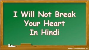 I Will Not Break Your Heart in Hindi