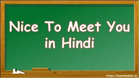 Nice To Meet You in Hindi