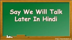 Say We Will Talk Later In Hindi