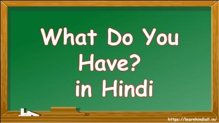 What Do You Have in Hindi