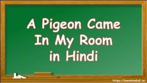 A Pigeon Came in My Room in Hindi