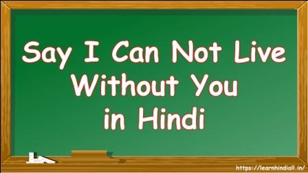 Say I Can Not Live Without You in Hindi