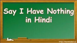 Say I Have Nothing in Hindi