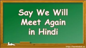 Say We Will Meet Again in Hindi