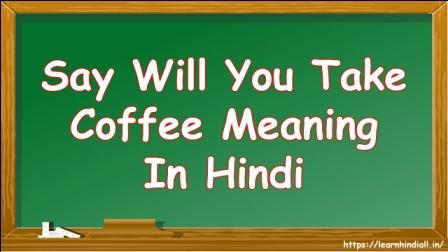 Say Will You Take Coffee Meaning In Hindi